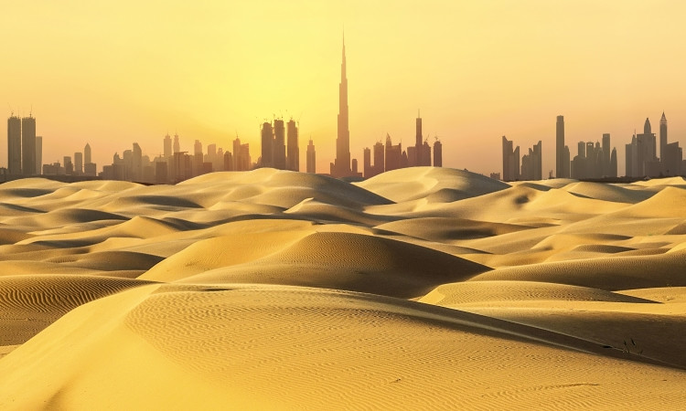 UAE counterfeit seizures, Brazil predicted for 2019 Madrid accession, and Lacoste scores big win: news round-up
