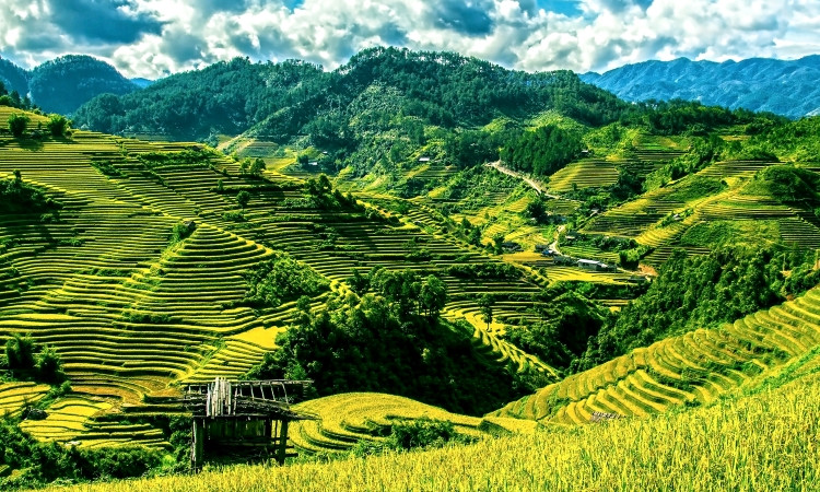 Vietnam to bolster GIs, US shutdown threatens IP, and Ethiopia launches online filing system: news digest